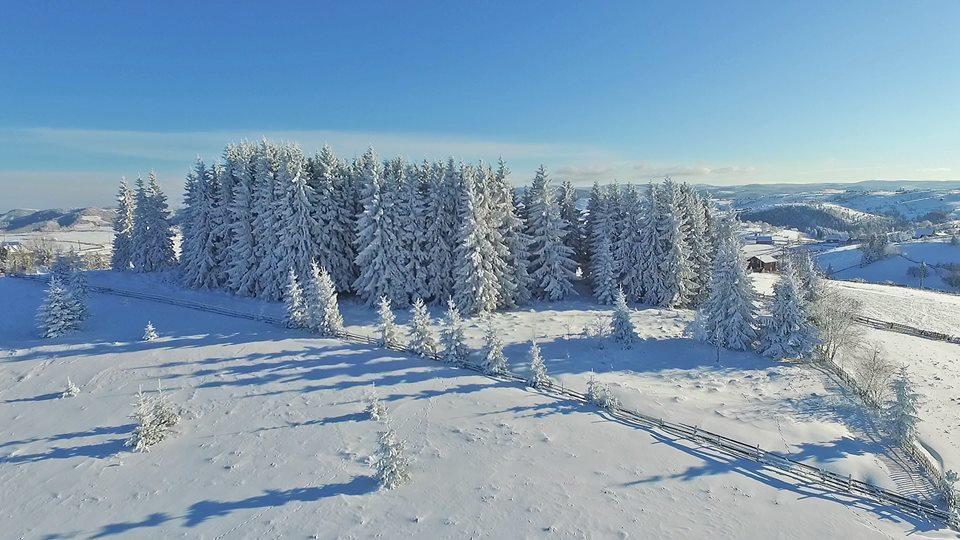 Hotel Pensiunea Popasul Iancului Mărişel Exterior foto